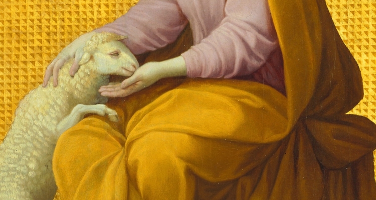 Meditation Of Card. Pizzaballa: IV Sunday of Ordinary Time A