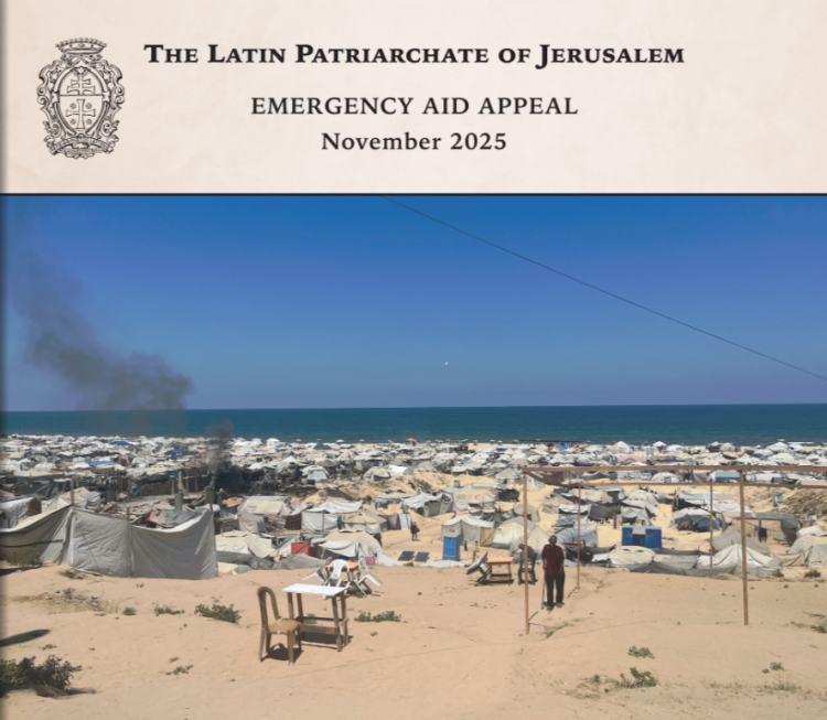 Rapporto sugli aiuti di emergenza - Novembre 2025